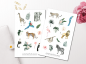 Preview: Sommer Dschungel Tiere Sticker Set